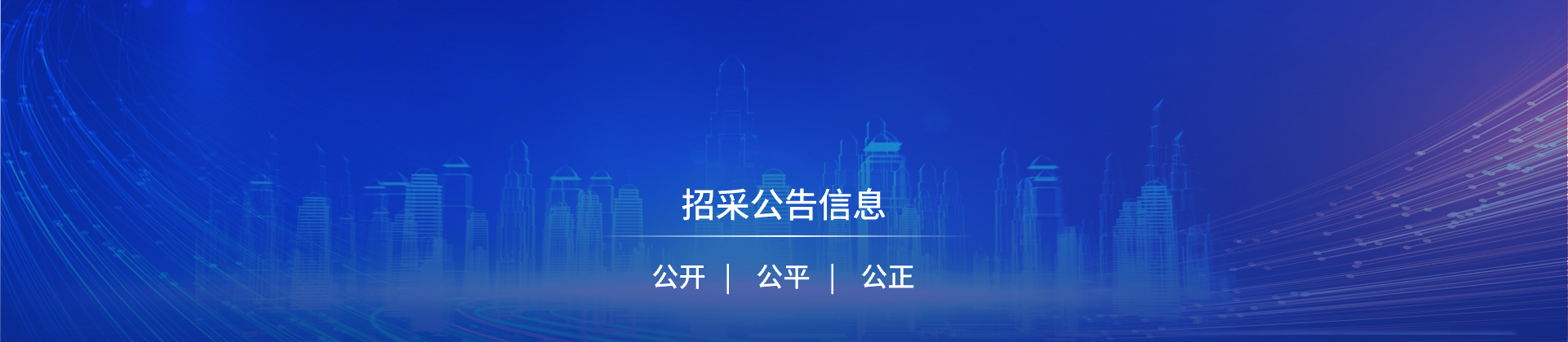 公告信息