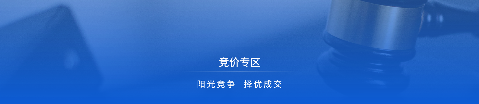 竞价专区